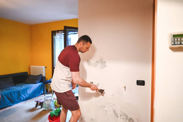 Best Residential Mold Remediation in Pingree Grove, IL